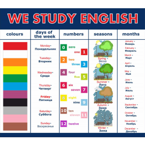 We study english