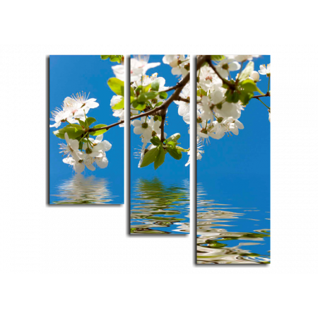 Модульная картина Вишнёвые цветы над водой