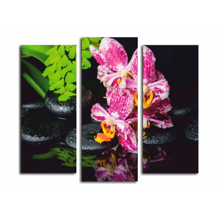 Модульная картина Спа, орхидеи