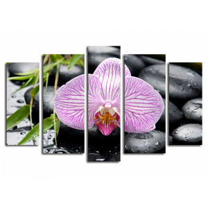 Модульная картина Дзен. Орхидея