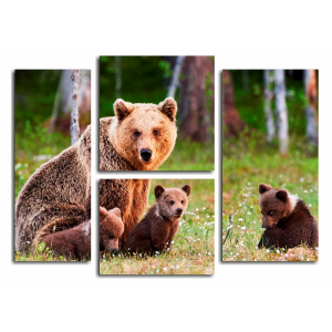 Модульная картина Медведи в лесу