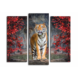 Модульная картина Тигр во всей красе