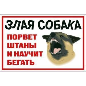 Табличка Злая собака №10